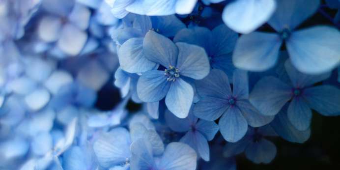 The Color Blue — History, Meaning and Facts